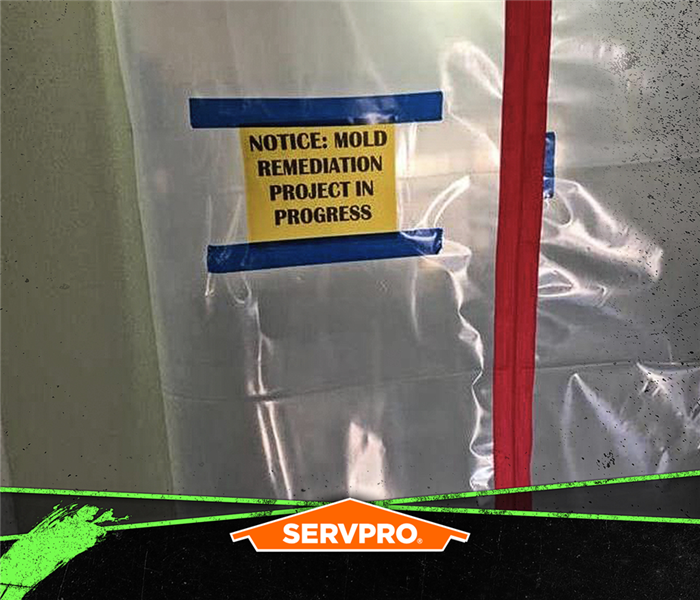 mold cleanup with containment barrier